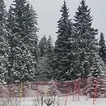 гранд манастира 4а30 весела ваканция بامبوروفو
