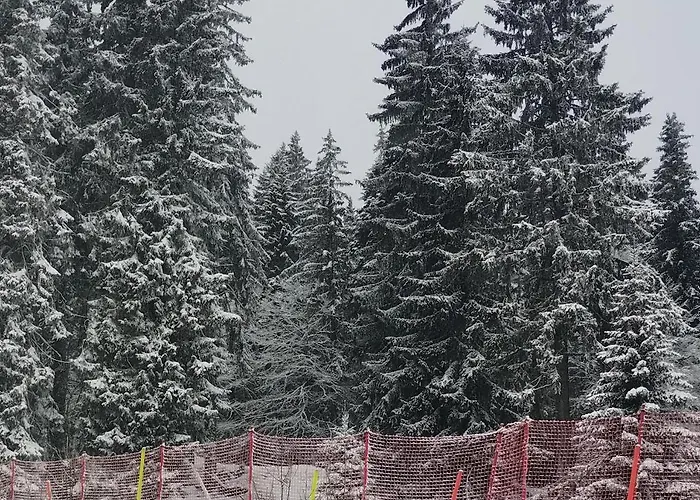 гранд манастира 4а30 весела ваканция Pamporovo