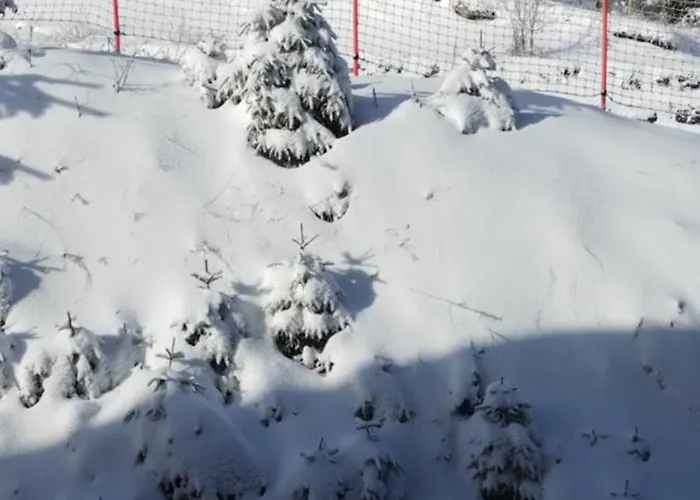 гранд манастира 4а30 весела ваканция Apartment Pamporovo